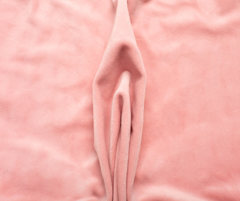Vulvar Lipoplasty, Vulvar Lift in India at Elegance Clinic, Surat